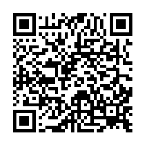 你看看这满地的残骸……林道友的核弹实在是太可怕了二维码生成