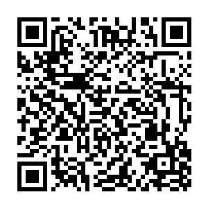 你真的以为你有一个做老师的未婚夫就真的可以这个样子无法无天了吗二维码生成