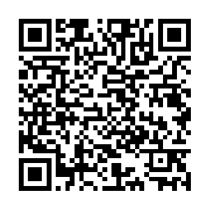 你真的意外单凭一人之力可以跟整个青灵一族对抗二维码生成