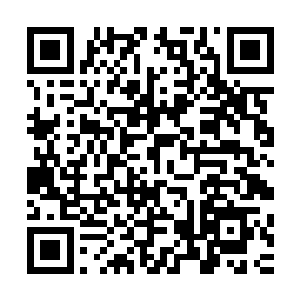 你知道冬天半夜起来走那黑咕隆咚的走廊去厕所是什么滋味么二维码生成