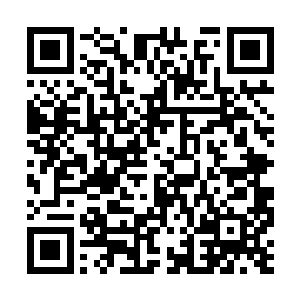 你老实说……是不是想要回学校去看林烽军训的啊二维码生成