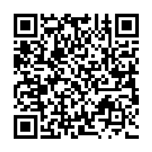 你老爹几年前就已经是宗师级巅峰的修为了……这几年下来二维码生成