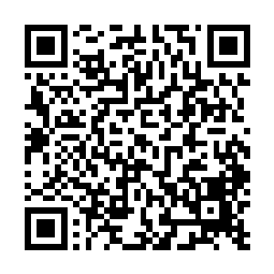 你能不能从这弹道轨迹帮我判断一下那个杀手在什么位置二维码生成