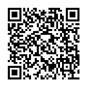 你能够看出这一点为父总算没有将这个家主之位交给你二维码生成