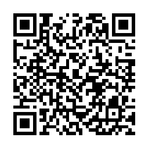 你自己麾下的实力已经强大到了让张坚之害怕的地步二维码生成