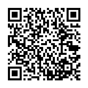 你要是现在还继续开烧烤摊或者只是个上不得台面的家装蝎司二维码生成