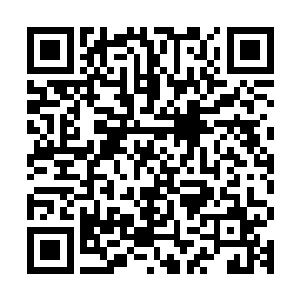 你要碰到它刚咬钩时候的折腾劲儿放任何一渔夫身上都有的爽了二维码生成