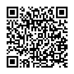 你要让你安插在三大势力中的情报人员密切注意这信息的收集二维码生成