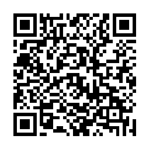 你觉不觉得现在……我们这个团队的气氛实在是太好了二维码生成