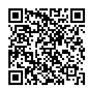 你说我们要是除了养鱼之外把咱们的岛也搞旅游你说怎么样二维码生成