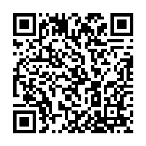 你说是吧……哈哈哈……江院长如果那么有把握的话二维码生成