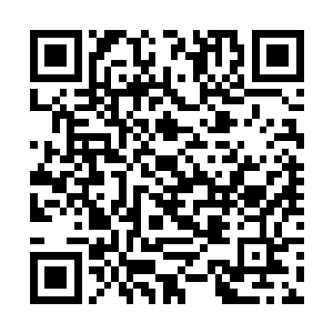 你说队长什么时候告诉我们这次任务到底是要干嘛啊二维码生成