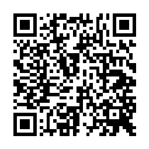 你还在小千圣宗的时候他为什么要给你种下印记呢二维码生成