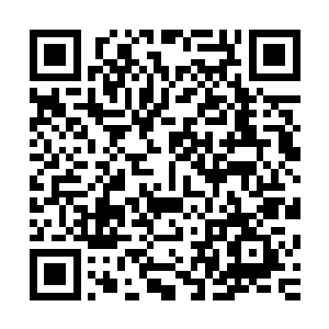 你还是把你大白天就喝酒的毛病改了吧……我去换衣服拿设备二维码生成