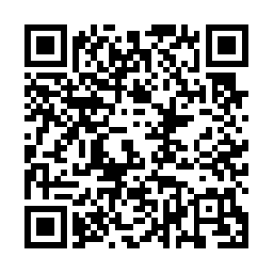 你还真是鸭子死了嘴硬――你以为你不承认就可以了吗二维码生成