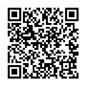 你还要讲领悟到的剑之法化作招式传授给我们呢二维码生成