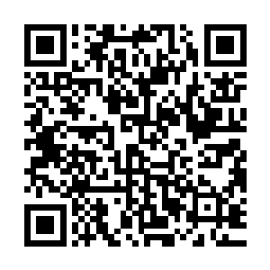 你还记得你在野狼山谷试炼的时候听到过关于野狼山谷的传说吗二维码生成