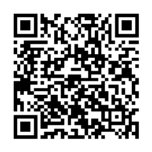 你通过在本王身上练习扎针而学会了一套绝世针法二维码生成