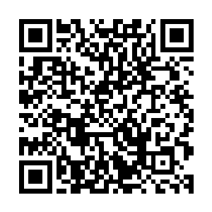 你难道真的以为你一个受伤的人能够对付得了我们这么多人吗二维码生成