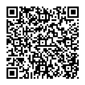 你非得让我在一个军事团体里而且指挥官还活着的情况下却需要自己来决定什么事二维码生成