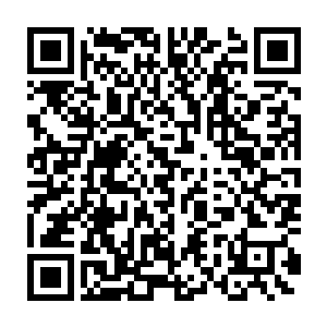 佣兵之城的几名圣皇强者也从大长老的神态间看出了失态的严重性二维码生成