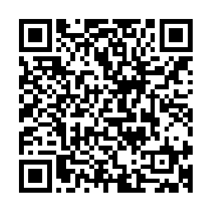 使得一个项目的审批会被人为的分解为更多的内设部门来审批二维码生成