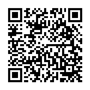 使得叶尊和洛青两人顿时感觉自己仿佛是掉入了冰窟一样二维码生成