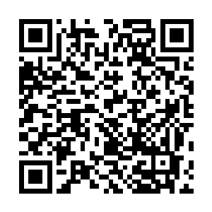 使得手指上的细胞可以在他的意识指导下进行极其细微的二维码生成