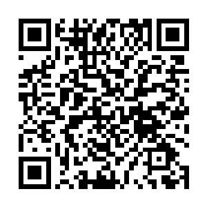 使得整张油画就好像被人赋予了一种很神奇的生命一样二维码生成