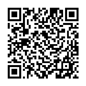 使得此刻他们四人似乎连最基本的浮空之力都沒有了二维码生成