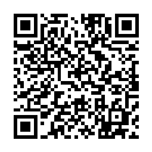使得沙阳春不得不把主要精力放在如何压制卢楠的影响力上二维码生成