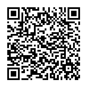 使用大仙术将一个资质极差的人用空间挪移之术直接给扔到了高台之上二维码生成