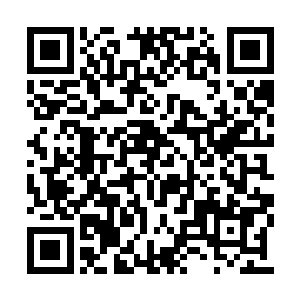 供轩辕之丘大帝皇城和皇宫里的达官贵人们享用二维码生成