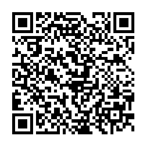 依然不管不顾的又来了第六次……噗噗噗噗……又是七八十刀……二维码生成