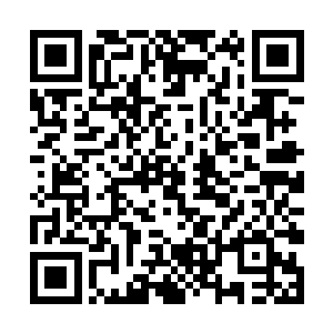 依然没有找到任何与白小飞和暗日魔术师有关的线索二维码生成