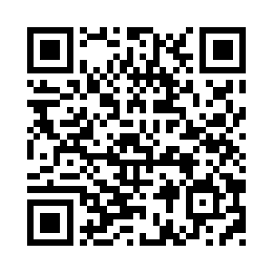 依稀可见一条巨大无比的树根自上而下二维码生成