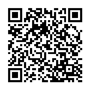 依稀听到大家在嘀咕说没想到秦老师也听说过苏文了二维码生成