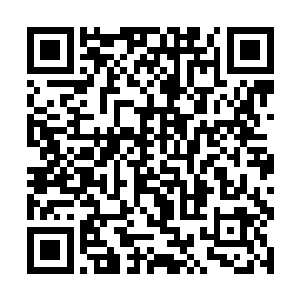 依靠肉身和九天凰体吞噬的大量的药力专门修炼精血二维码生成