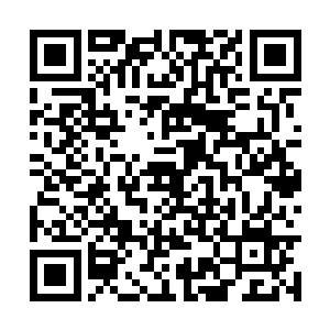 侧着身子抱着手臂眨也不眨的望着可爱的小家伙笑二维码生成