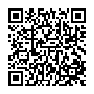 侯卫东就在一群重型轰炸机的轰鸣声和扑天盖地的蚊香中睡着了二维码生成