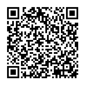 便一不做二不休拿起旁边的消防器又朝着地上的副机长脑袋狠狠地砸了过去二维码生成