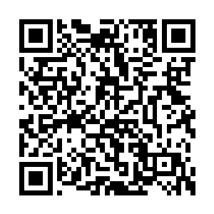 便会再次多出一位圣尊之下第一人的超级强者了二维码生成
