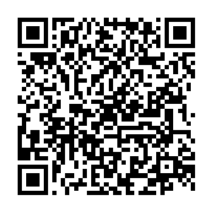 便会知道圣巴伦赫公主的这位客人便是那位传说已久的公主心仪之人二维码生成