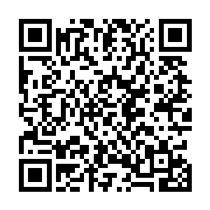 便依言将一旁打磨得极为光洁的铜镜取到了慕容玥的面前二维码生成
