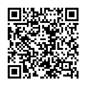 便可以想象青木天牛在木系秘术上的造诣有多么的强横二维码生成