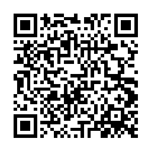 便可以清晰的发现他手臂上的那一条细长的血色细线……二维码生成