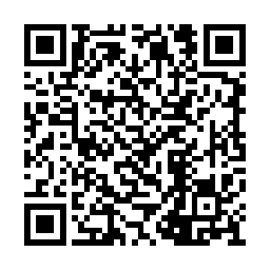 便可借助你那神甲的能力彻底隐匿在巨象仙宗内二维码生成