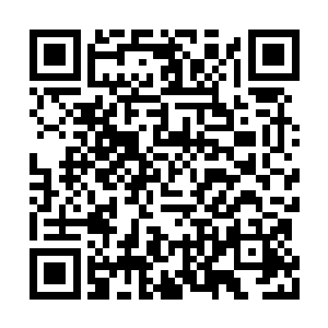 便在于墨族这边竟有数量不少的七品和八品墨徒二维码生成