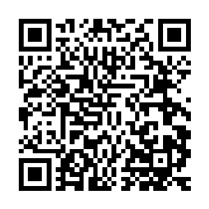 便意味着这次还没完成的调查案也必须有个不尽如人意的结果了二维码生成