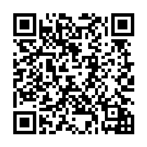 便是一记猛烈到令人发指的铁山靠撞上了半空中的铠甲二维码生成